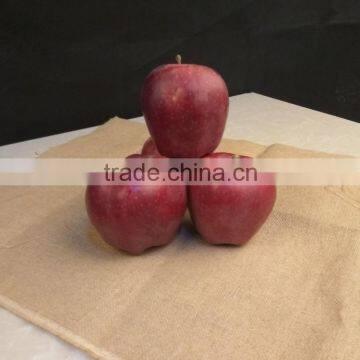 New crop New season Huaniu apple Fresh apple China Gansu Tianshui Huaniu apple