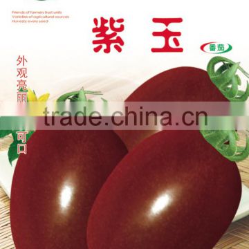 Purple Cherry Tomato Seeds For Growing-Purple Jade