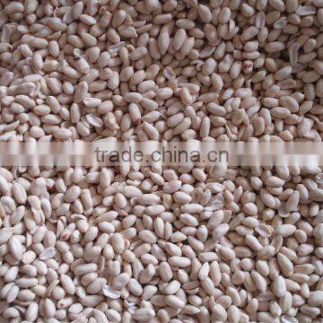 bulk peanuts for sale