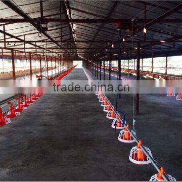 Chiken Feeding System Poultry Farm Production photo-5