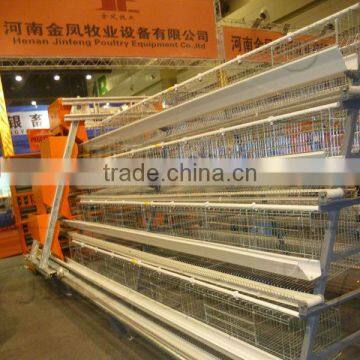 chicken layer cage poultry equipments (with automiatic egg collect system)
