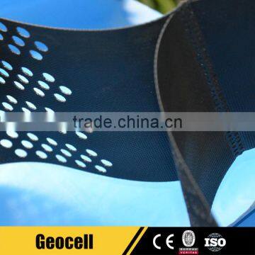 HDPE Interlocking Plastic Grass Lawn Paver Grid Geocell Price