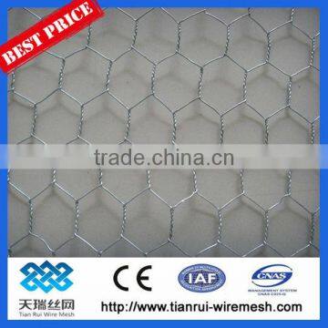 chicken wire mesh/hexagonal wire netting/hexagonal wire mesh