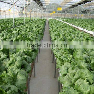 Poly-Film Greenhouse photo-4