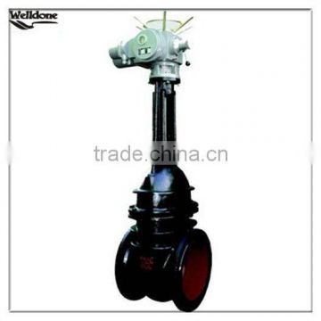 Electric Gate Valve