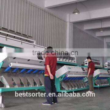 Hot Selling Watermelon Seeds Color Sorting Machine photo-6