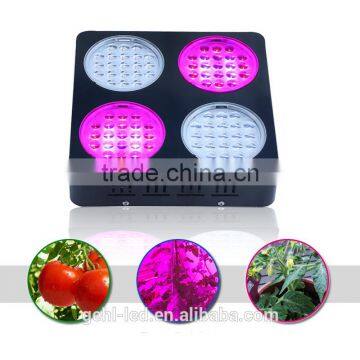 Wholesale Led Grow Light for Potatoes/tomatoes/cucumbers