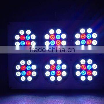High Quality Apollo Cob 6 Led Grow Light for Grow Plant photo-3