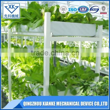 High-tech Professional Greenhouse Hydroponic System