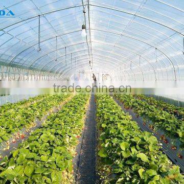 Cheap Tunnel Green House Baolida Vegetable Tunnel Green House for Tomato photo-3