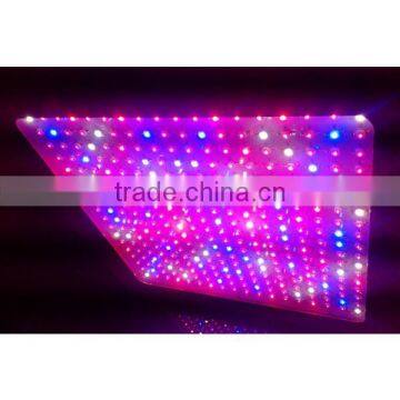 2014 Good Quality Light !!1000w Grow Lights for Sale Well Mushroom Growing Equipment photo-2