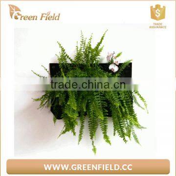 Wall Garden Hanging Vertical Anti Erosion Felt Green Planter Grow Bag With Good Tenacity photo-6