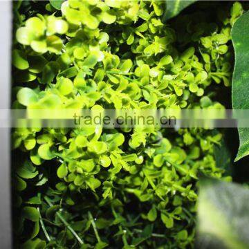 stickers home garden deco 200*200 cm indoor or outdoor artificial corner succulent green climbing plant wall Ezwq10 1012