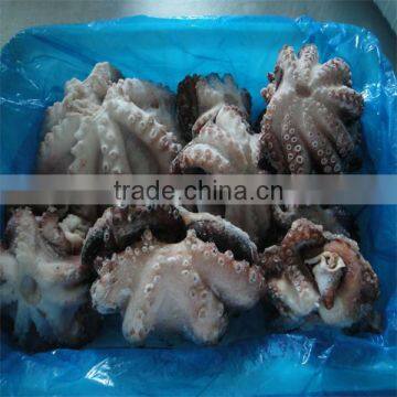 frozen octopus salad