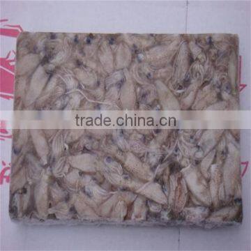 Hot Sales Great Quality Whole Round Frozen Baby Squid for Sale photo-5