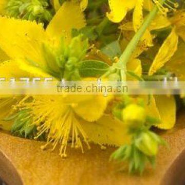 St. John's Wort Oil photo-3