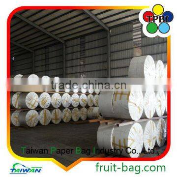 TPBI Cheap Grape Growing Cultivating Bag White Kraft Paper Bag Grape Protection Paper Bag photo-5