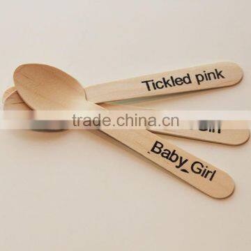 Grade A Biodegradable ice Cream Spoon with long handle