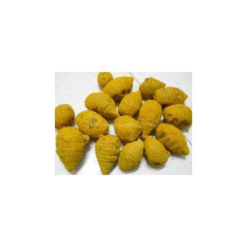 Turmeric Powder photo-2
