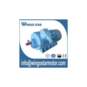 Explosion Proof Motor