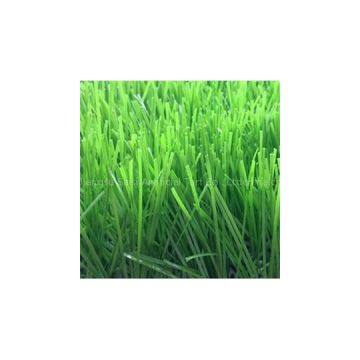 Spine Shape Football Grass