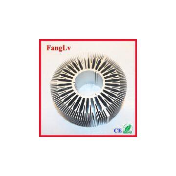 OEM Aluminum 6063 Extrusion Heat Sink for Led Light