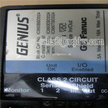 Hot Sale New In Stock GE IC660BBD024 PLC DCS