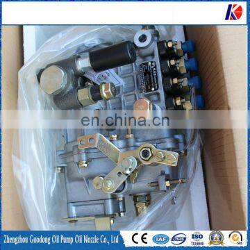 BH4Q75R8 Genuine Part 4Q119M 4 Cylinders Fuel Injection Pump 1111000S_AW-04 for Sida W485 photo-3