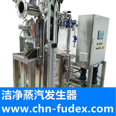 Pure steam generator made in china