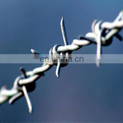 Hot Sale High Quality Galvanized Iron Wire Protection Silver Barbed Wire Coil