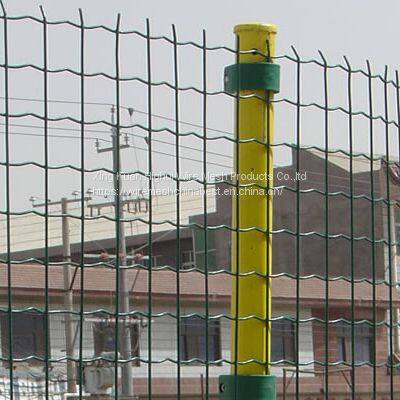 Holland Welded Wire Mesh for Factory Fencing photo-4