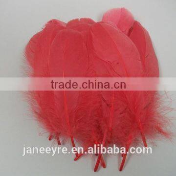 Hot Design!!! Factory Suppler Colorful Feather Accessory photo-6