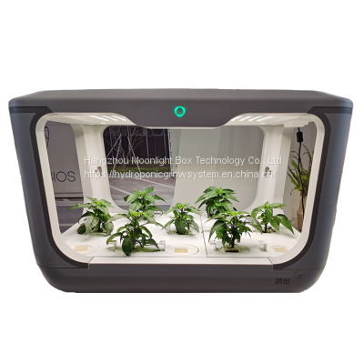 Indoor Hydroponic Automatico Grow Box Smart Mini Grow House Growboxcomplete photo-5