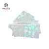 Generic Transparent Hologram ID Card Overlay photo-5