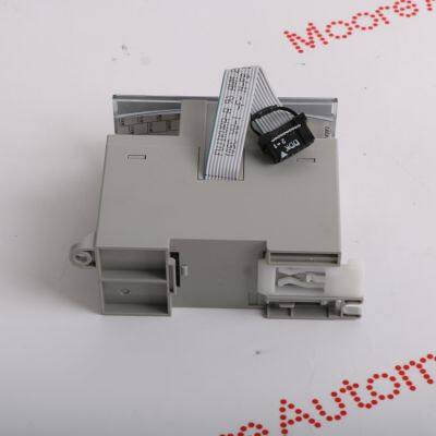 Allen Bradley1762-IF2OF2