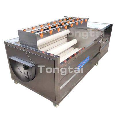 Brush Roller Type High-yield Multifunctional Peanut Cleaning Machine photo-5