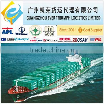 LCL Shipment from Guangzhou/Shenzhen to Jakarta, Indonesia (DDP to Door)