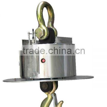 high temperature proof crane scale