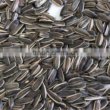 small sunflower seeds cheap sunflower seeds