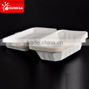 Hot food Sugarcane pulp box