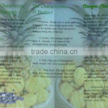 Organic Fresh Pineapples Phu Lae Variety photo-2