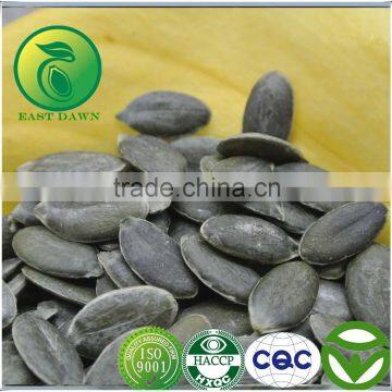 Best Selling Products Pumpkin Seeds GWS (Grown Without Shell)