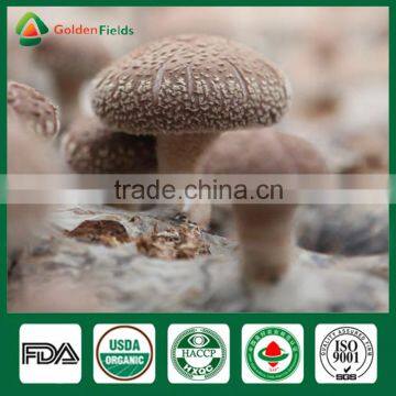 Shiitake Mushroom Compost,Cancer Cure Mushroom,Frozen Shiitake photo-6