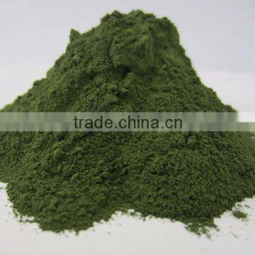 High quality 100% Natural Wholesale Organic Chlorella Powder In Bulk