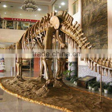 Dinosaur Skeleton for Sale Artificial Skeleton
