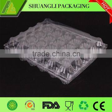 Transparent PVC Plastic Forming Egg Trays                        
                                                Quality Choice