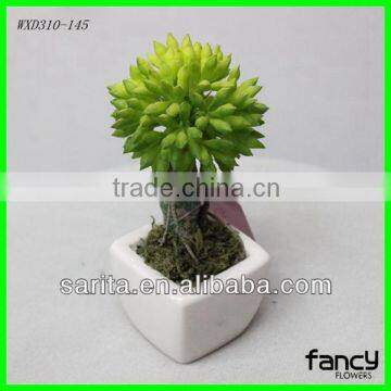 factory price quality resin artificial bonsai for decoration