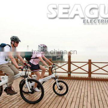 Seagull - 2014 China factory unique design EN14764 bicycle e-bike battery bag