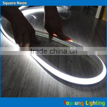 Top5: super bright 220v white led neon flex smd flat shape for building