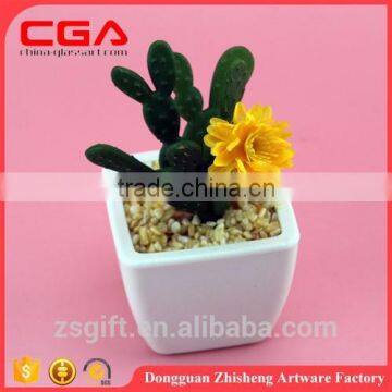 Artificial Artificial succulent plants tropical plants Plastic emulation succulent plant